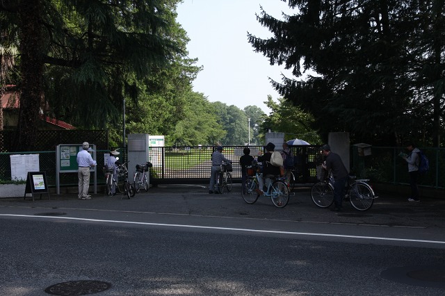 e0117318_13514829.jpg