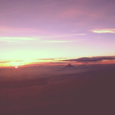 最後は「しましまの木」さん訪問で_f0095325_1113888.jpg