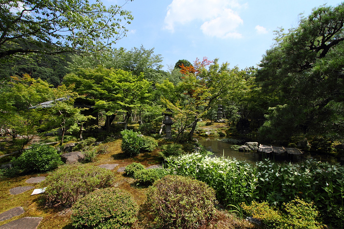 南禅寺・盛夏 －大寧軒－_b0169330_726569.jpg