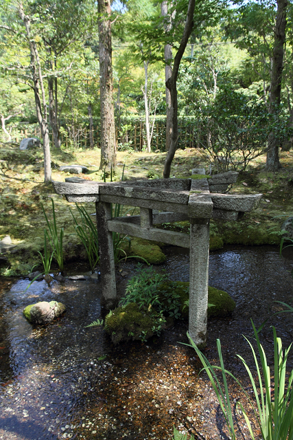 南禅寺・盛夏 －大寧軒－_b0169330_7481693.jpg