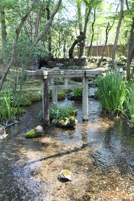 南禅寺・盛夏 －大寧軒－_b0169330_7561899.jpg