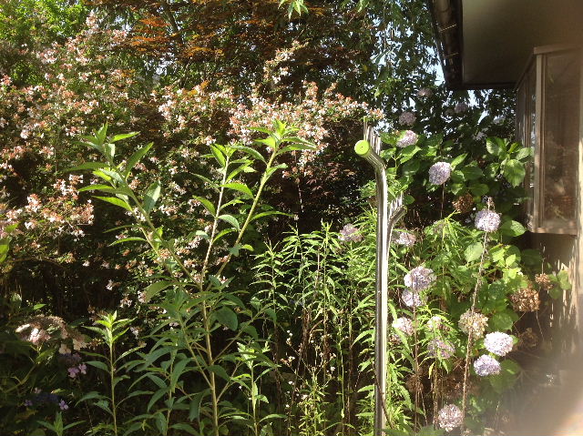 f0031037_19562398.jpg