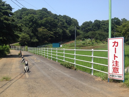 小山田緑地（２）　多摩丘陵の広大な自然が残っている公園　分園編_b0330040_21381215.jpg