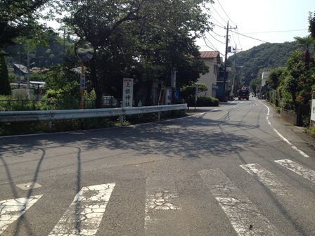 小山田緑地（２）　多摩丘陵の広大な自然が残っている公園　分園編_b0330040_22205107.jpg