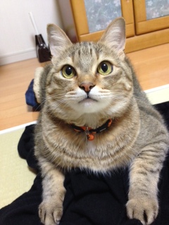暑くなりました_f0223942_19032058.jpg