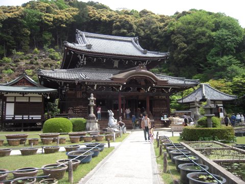 三室戸寺にて（宇治市）_d0049152_14361115.jpg