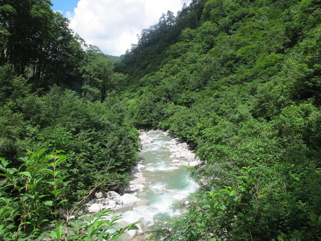 2014年7月21日　朝日連峰（３日目　狐穴小屋～以東岳～泡滝ダム）_c0116856_18524783.jpg