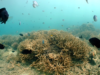 「家族で海遊び!」_b0033573_15582531.jpg