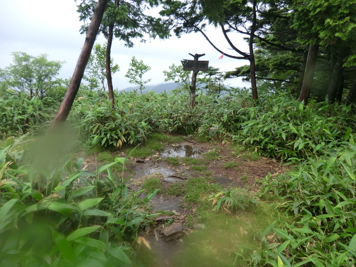 No354 飛騨・白草山～箱岩山　超一級の展望も雨_b0185573_10353845.jpg