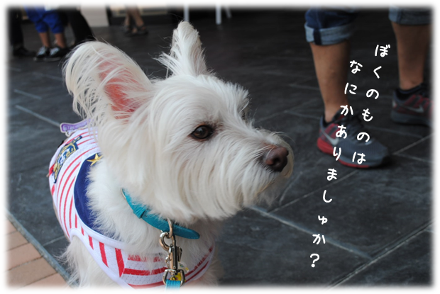 b0242873_23213629.png