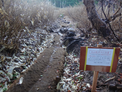 東北の山歩きと観光③（八甲田山）_d0182075_3363489.jpg