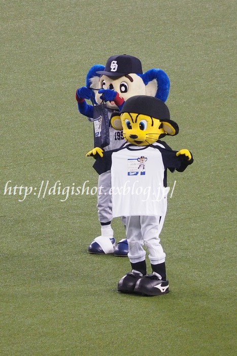 12球団マスコット 7 18オールスター第1戦西武ドーム Out Of Focus Baseballフォトブログ 19年終了 12球団マスコット 7 18オールスター第1戦西武ドーム Out Of Focus Baseballフォトブログ 19年終了