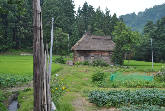 荻の島の茅葺家の補修_c0267580_1318117.jpg