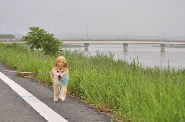 夏休み突入!_a0126590_07300545.jpg