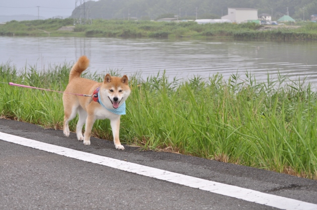 夏休み突入!_a0126590_07305441.jpg