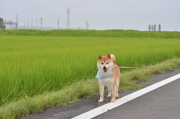 夏休み突入!_a0126590_07320951.jpg