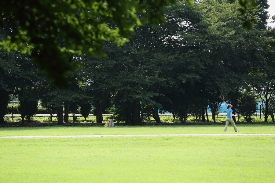 梅雨明けの公園_e0308998_11185048.jpg