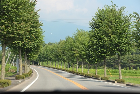 c0128303_22133044.jpg