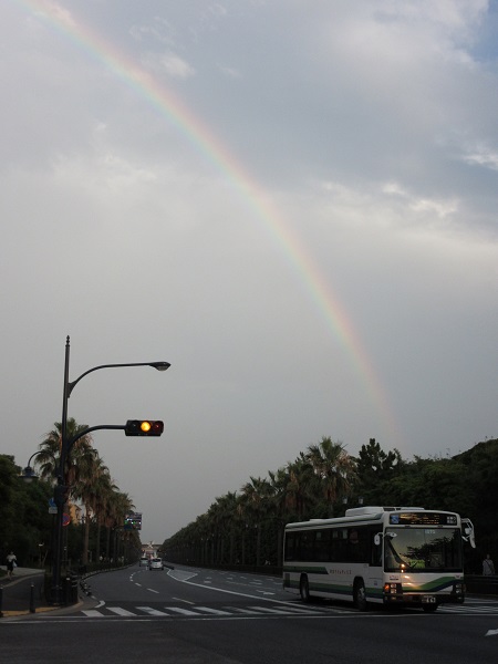 湾岸雨情_c0155803_22242667.jpg