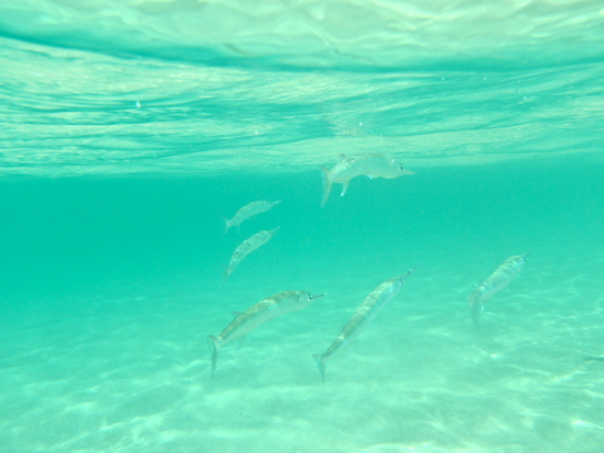 a0024504_1734110.jpg
