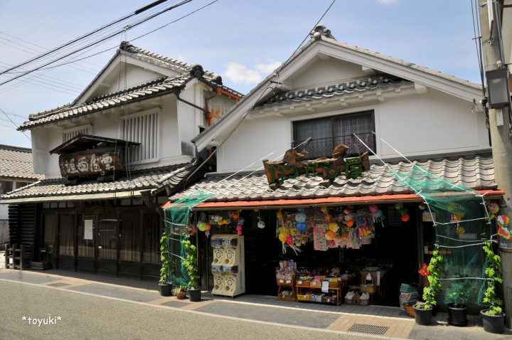 丹波篠山・城下の景観を残す町～篠山市街地～_d0226407_12431674.jpg