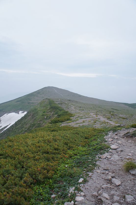 a0248508_1422643.jpg