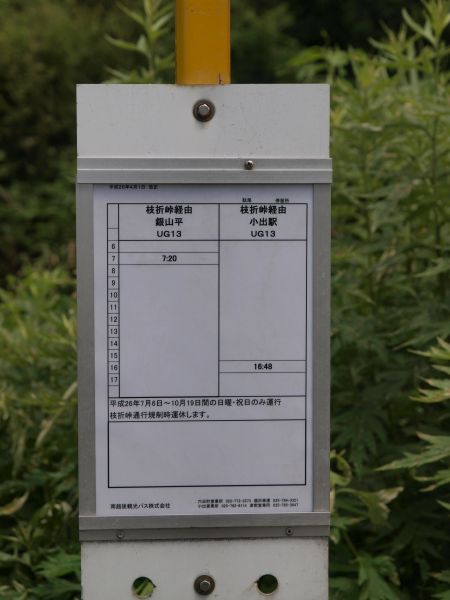 峠越え(ゼンマイへの道 その2)_c0164709_17492912.jpg