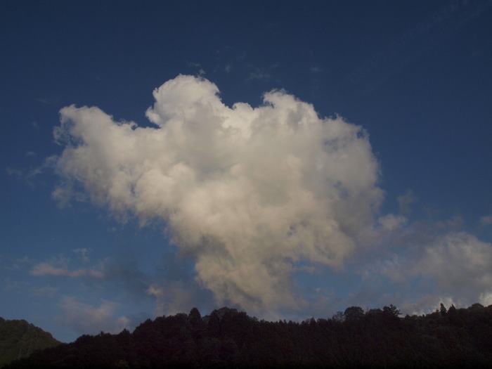 夕方の白い雲_c0116915_2337158.jpg
