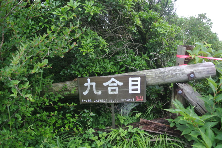 b0291016_08261200.jpg