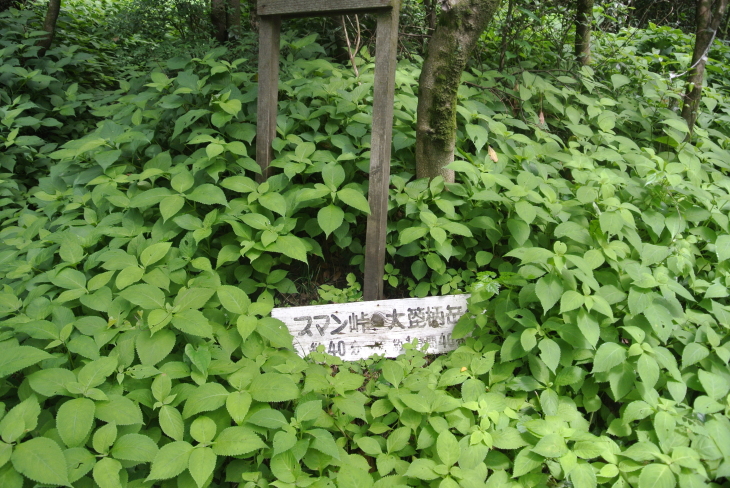b0291016_08280046.jpg