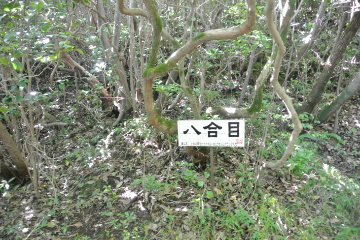 b0291016_08363630.jpg