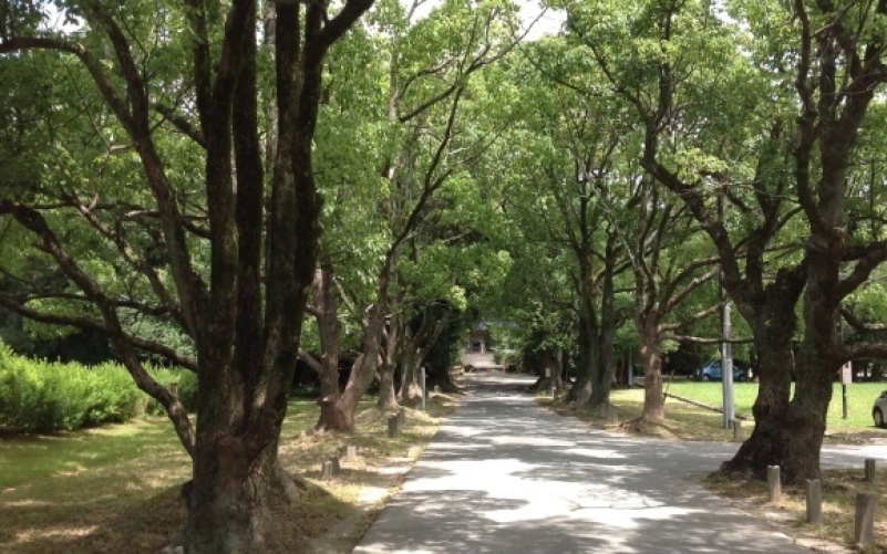 太宰府 の 夏_b0325317_19394661.jpg