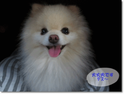 b0167519_22181825.gif