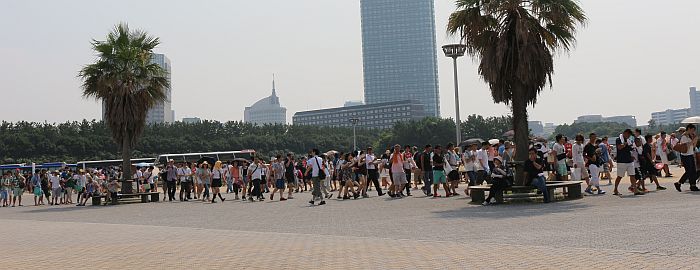 e0108126_91468.jpg