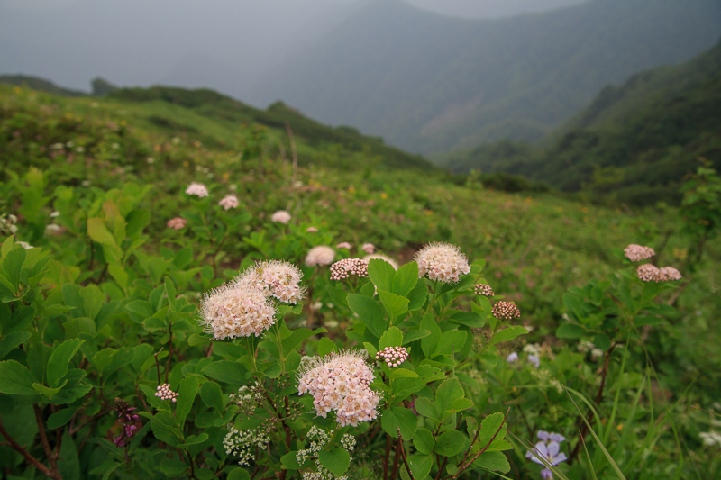 b0243727_65252100.jpg