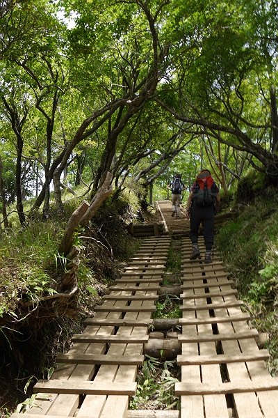 1年ぶりのバカ尾根登山記　その５_c0196928_8515958.jpg