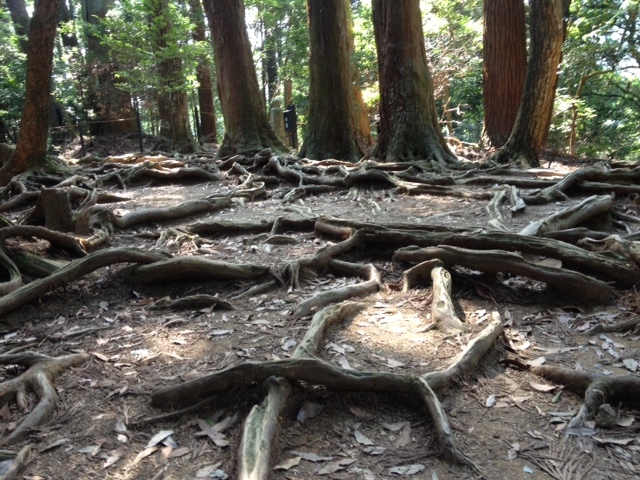 盛りだくさん~欲張りWS(^^♪_a0258233_230464.jpg