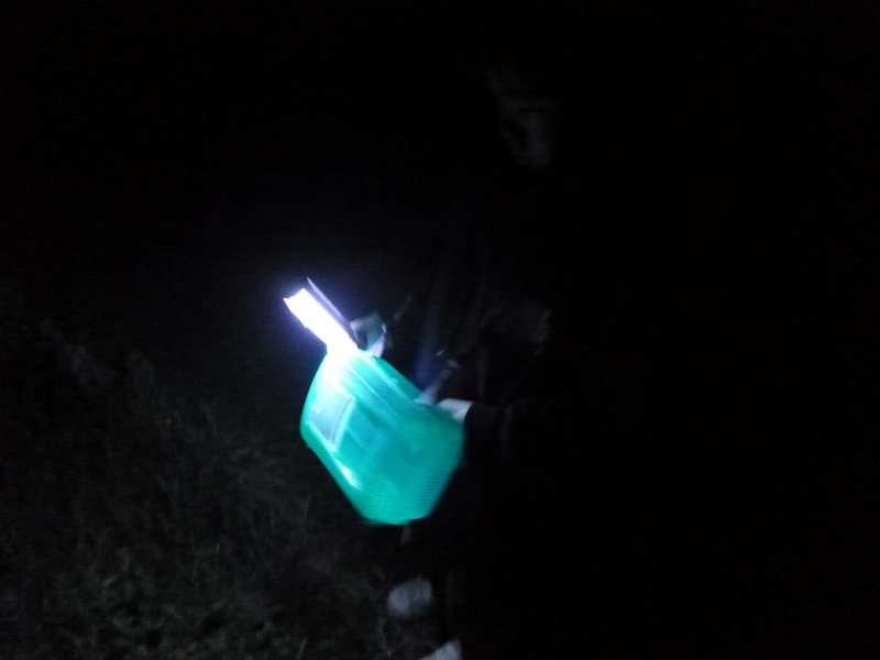 c0113733_11405485.jpg