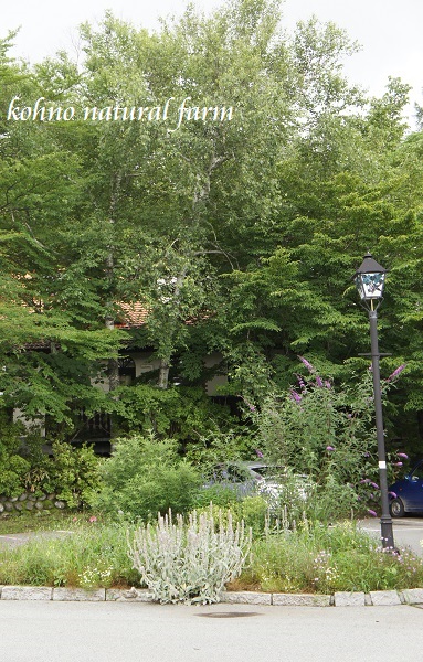 d0159033_02465.jpg