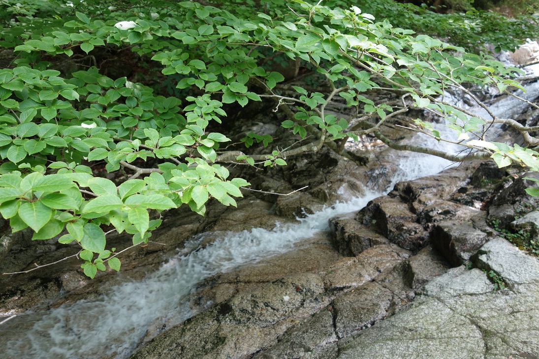 f0348933_10015147.jpg