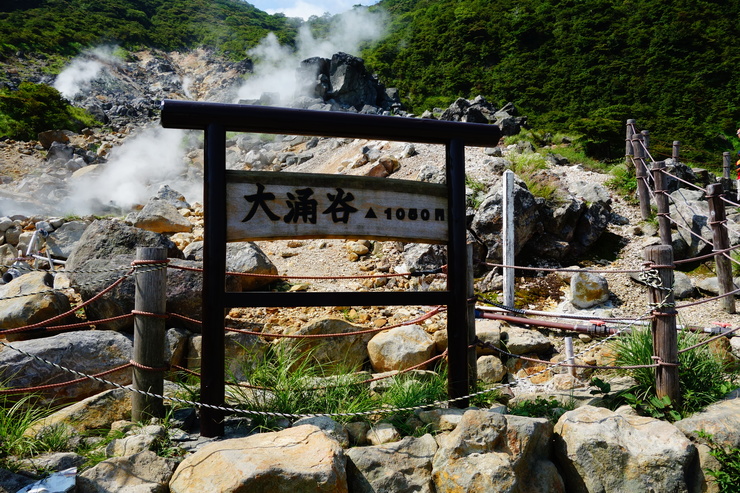 駆け足で巡る箱根 その2～大涌谷_a0287336_2202986.jpg