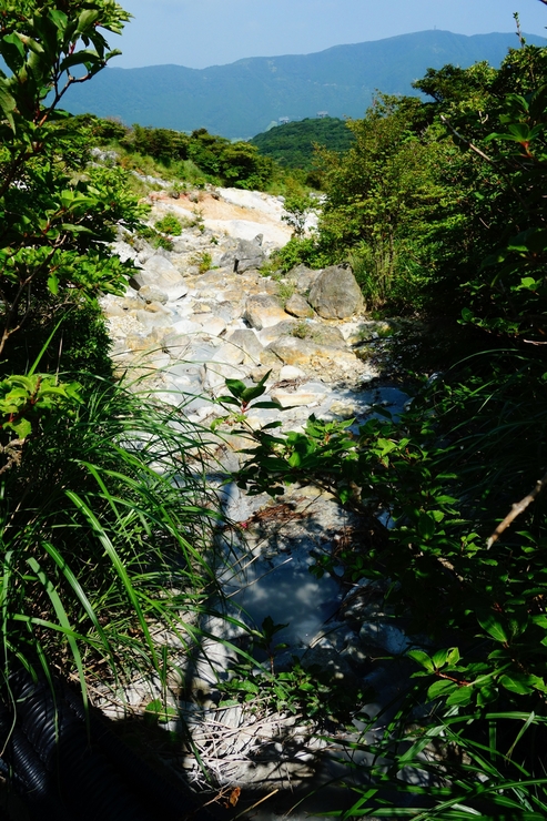 a0287336_2321479.jpg