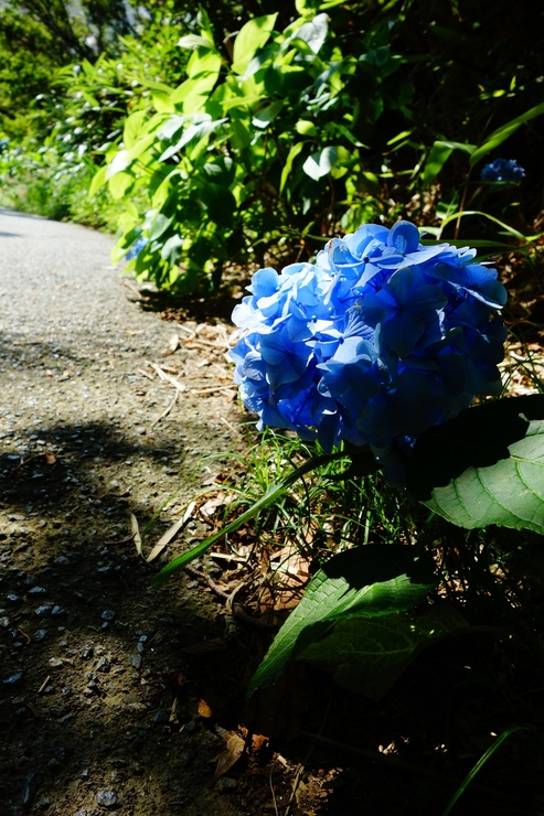 a0287336_2352160.jpg