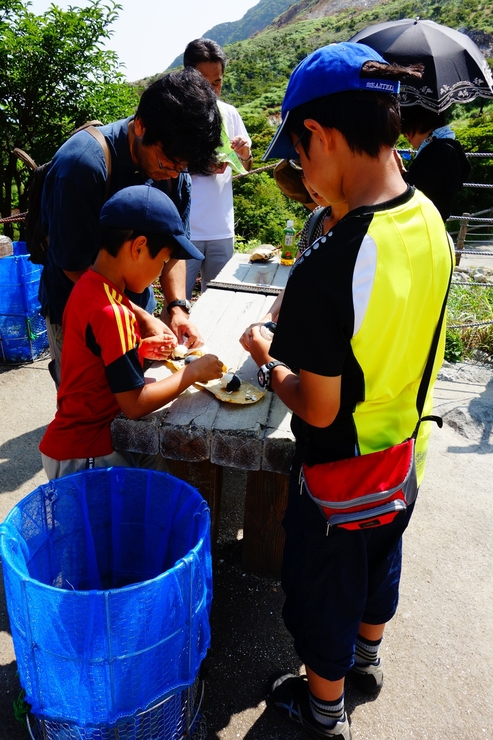 駆け足で巡る箱根 その2～大涌谷_a0287336_2361543.jpg