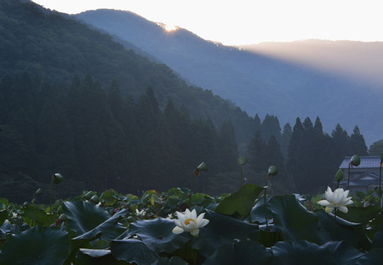 c0093046_1943246.jpg