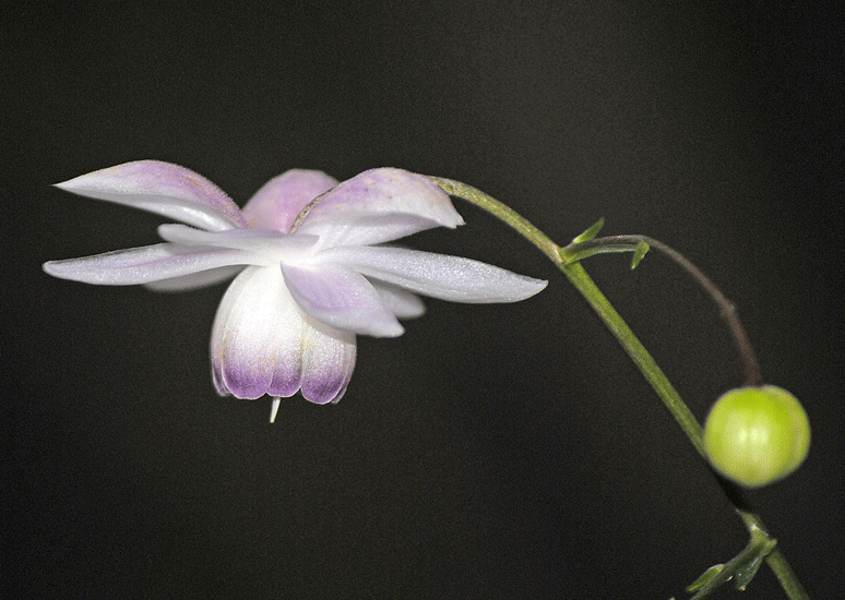 a0001354_22441759.gif