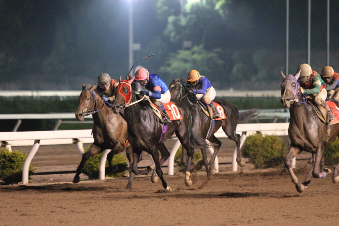 大澤誠志郎騎手、高知競馬2勝目！！_a0077663_852423.jpg