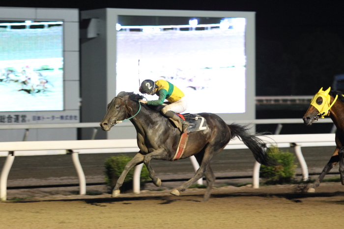 2014年6月29日（日） 高知競馬 12R 一発逆転 ファイナルレース C3-7記者選抜 その2_a0077663_9171111.jpg