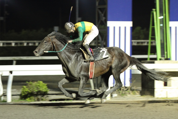2014年6月29日(日) 高知競馬 12R 一発逆転 ファイナルレース C3-7記者選抜 その2_a0077663_9171349.jpg