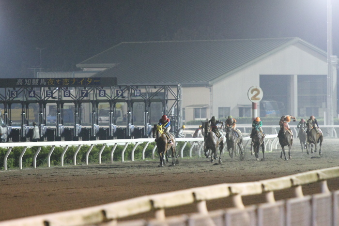 2014年6月29日（日） 高知競馬 12R 一発逆転 ファイナルレース C3-7記者選抜 その2_a0077663_917588.jpg